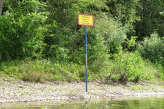 IMG_1295