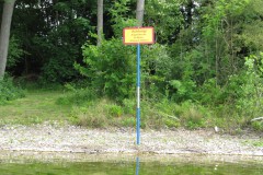 IMG_1296