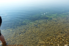 P1020570
