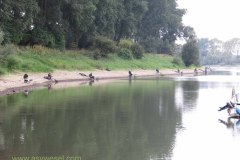 IMG_0994