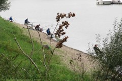 IMG_1062