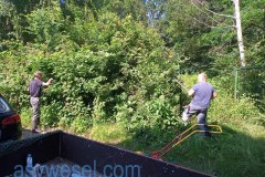 IMG_20210703_102741_503