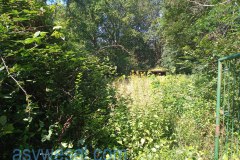 IMG_20210703_102756_954