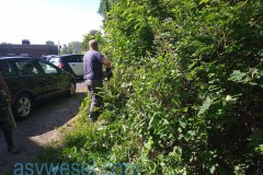 IMG_20210703_102800_767