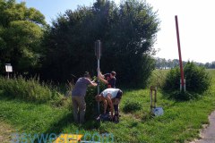 IMG_20210703_103816_285