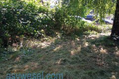 IMG_20210703_111029_306