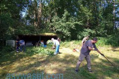 IMG_20210703_111533_023