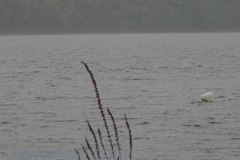 DSC00489
