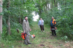 freischneiden-grindsee