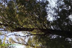 DSC00047