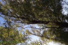 DSC00048