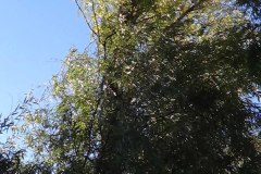 DSC00053