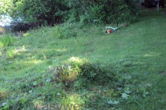 DSC02055