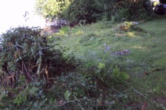 DSC02056
