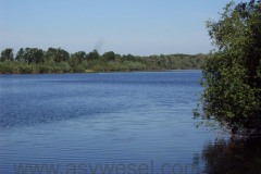 DSC02058