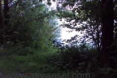 DSC02061