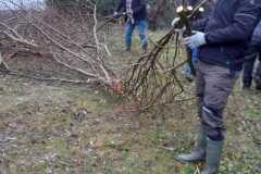 IMG-20211211-WA0007
