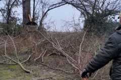 IMG-20211211-WA0010