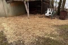 IMG-20211211-WA0011