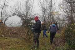 IMG-20211211-WA0020