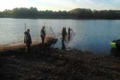 IMGad