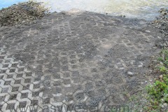 IMG_0338