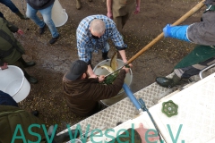 Fischbesatz Auesee 12.02.2024