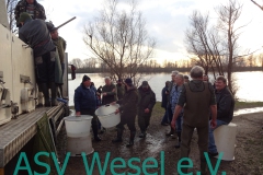 426988179_836472361823745_2871362443019913546_n