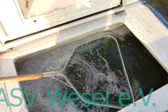 427827654_836474281823553_8836962321449575108_n