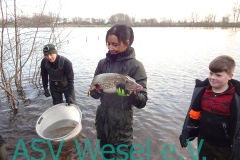 427829046_836473701823611_4044800408994919320_n