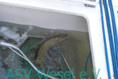 427833051_836476468490001_531392455981423637_n