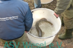 427833537_836474381823543_2416592699603349186_n