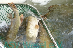 427839066_836474448490203_8538474765335657872_n