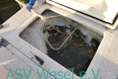 427868044_836474171823564_338418516537920312_n