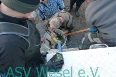 427876700_836476191823362_4966289673480900597_n