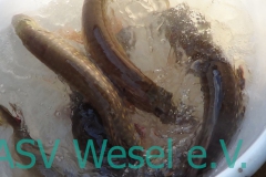 427877124_836472791823702_7971040045109183904_n