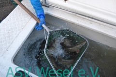 427881855_836476231823358_6669757916590473972_n