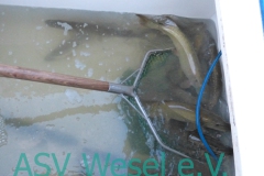 427913618_836476798489968_9119736469738503838_n