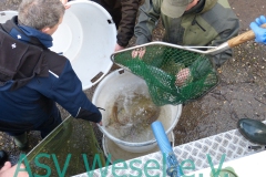 427915616_836474788490169_5221528298346235702_n