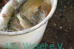 427964866_836474595156855_16609814598549000_n