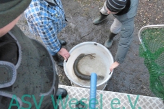 427974387_836476771823304_2167807446027118969_n