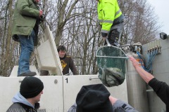 Fischbesatz Auesee 21.03.2015