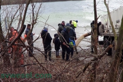 Fischbesatz Auesee Haffen 14.03.2019
