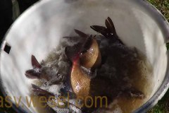 DSC00273