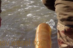 DSC00280