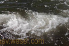 DSC00290