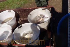 DSC00308