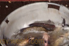DSC00309