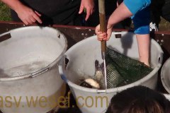 DSC00311