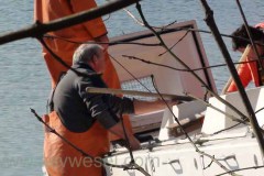 Fischbesatz Auesee, Haffen-Mehr 2016